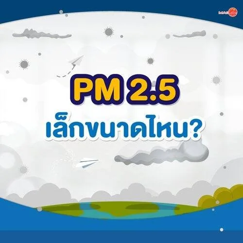 What is PM2.5?