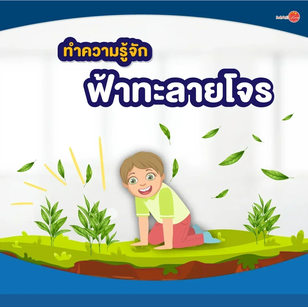 ทำความรู้จักฟ้าทะลายโจร