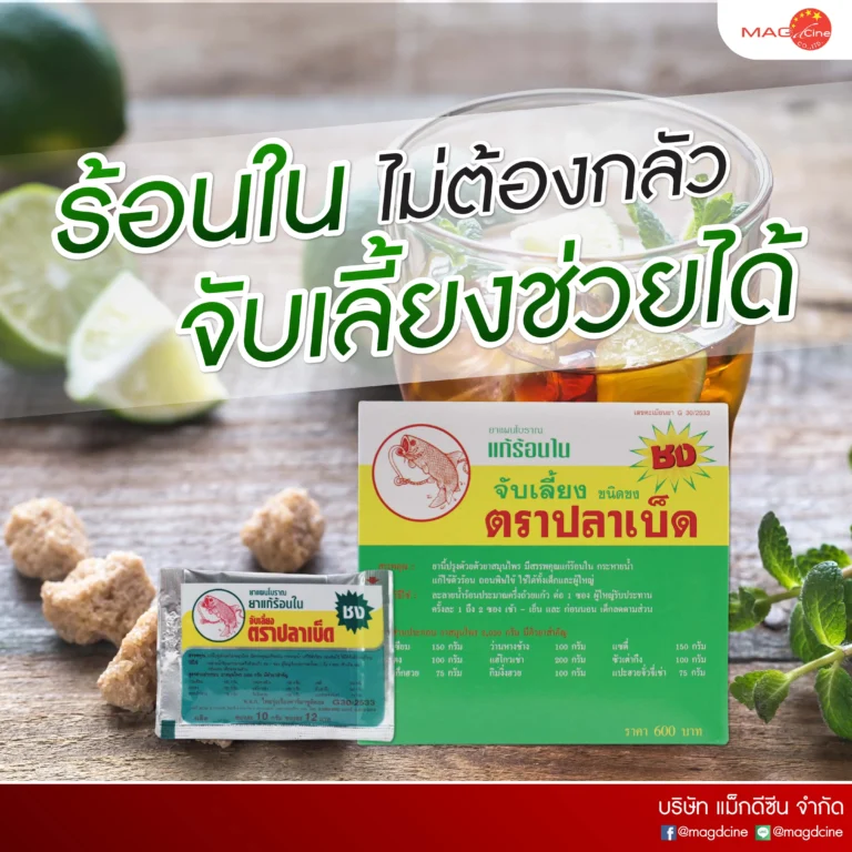 MAG D 06 อุปกรณ์พยุงเข่าและหลัง