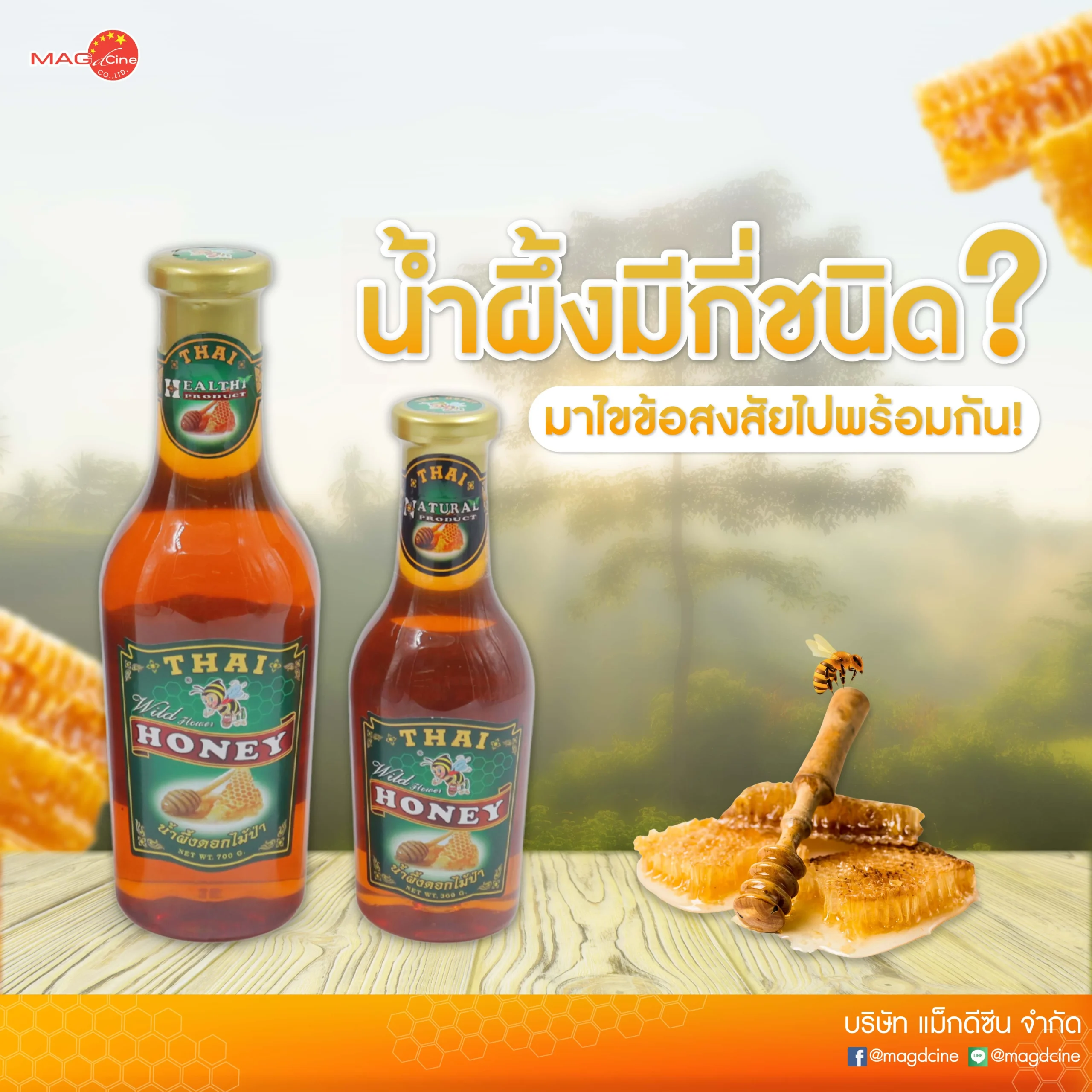 บทความ Page FB 01 scaled บทความ