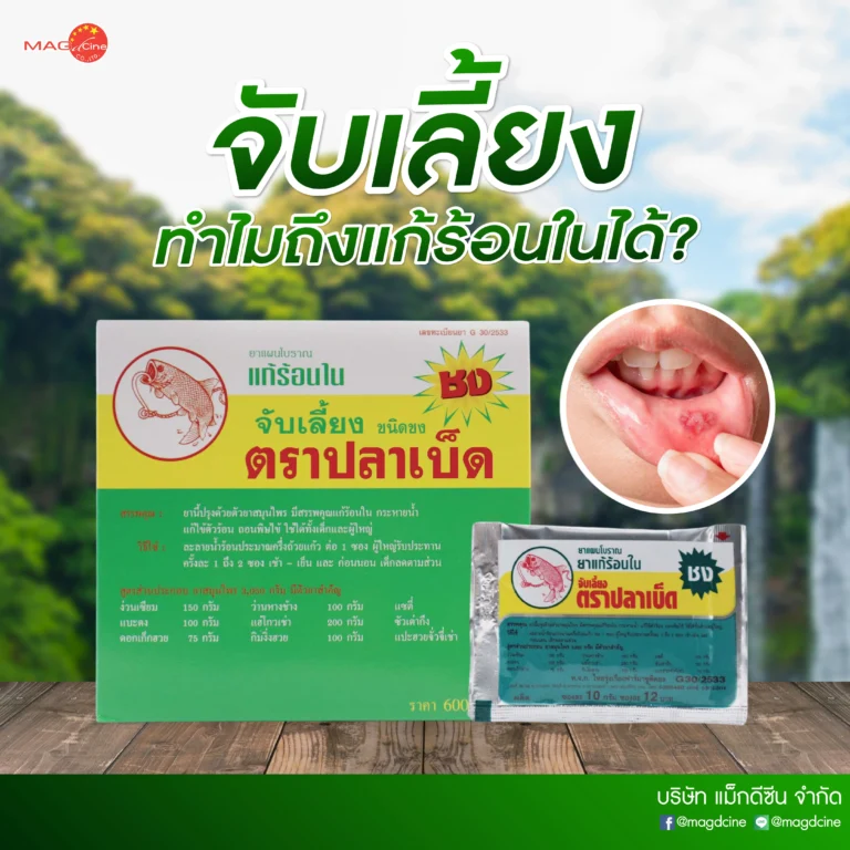 อุปกรณ์พยุงเข่าและหลัง