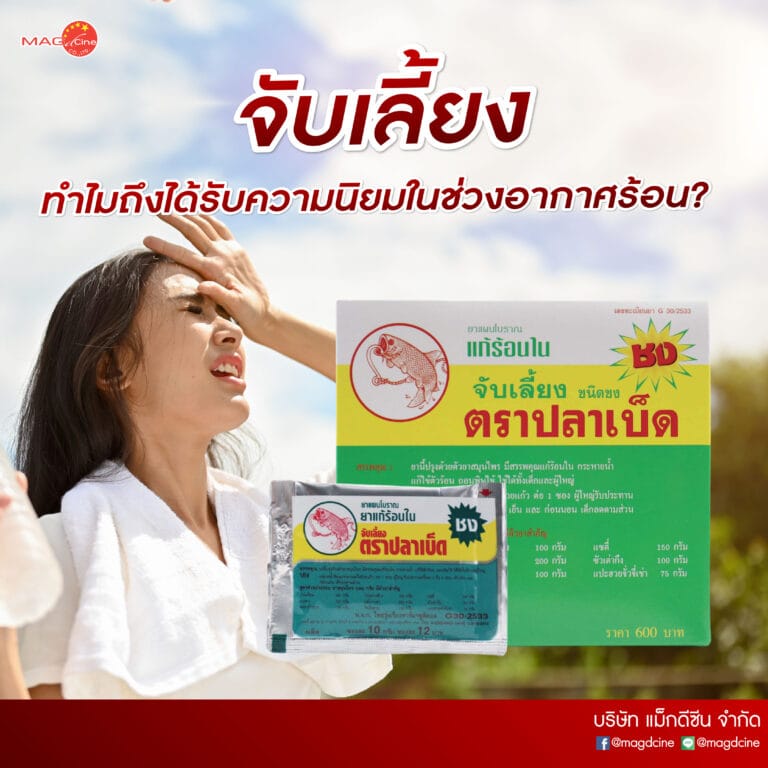 Mag D 15 อุปกรณ์พยุงเข่าและหลัง