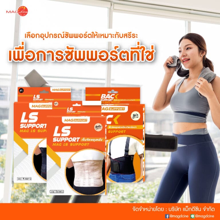 อุปกรณ์พยุงเข่าและหลัง
