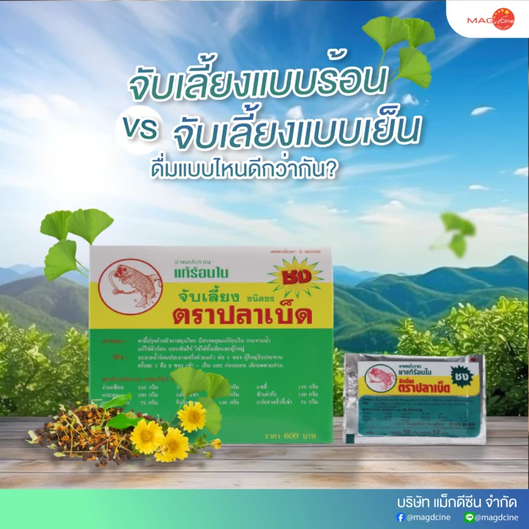 เย็น อุปกรณ์พยุงเข่าและหลัง