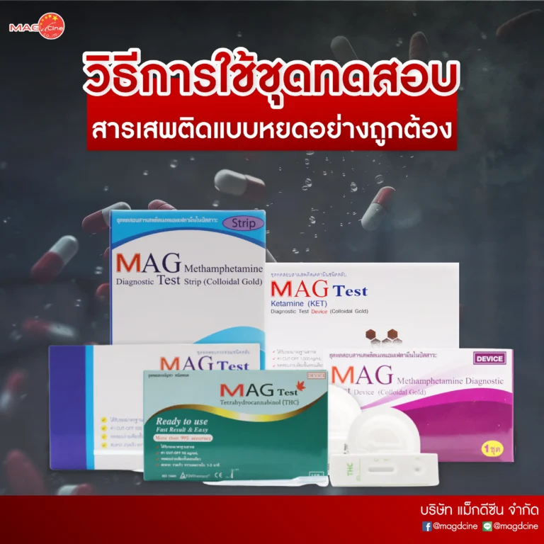 22 บทความ