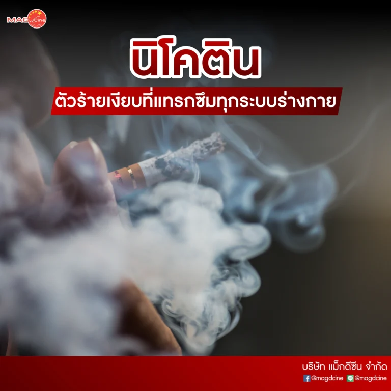 24 บทความ
