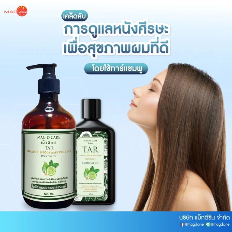 25 บทความ