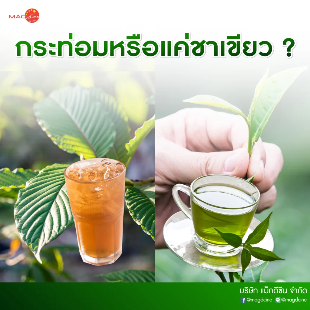 บทความ 26 ชุดทดสอบยาบ้า/กัญชา/ยาเค