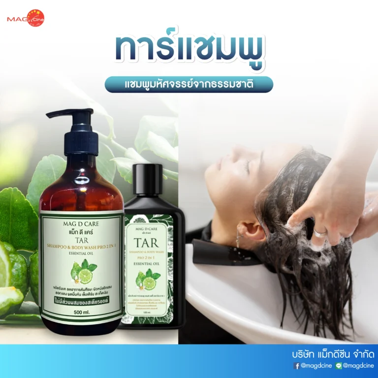 27 บทความ