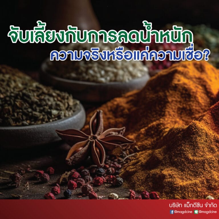 5 บทความ