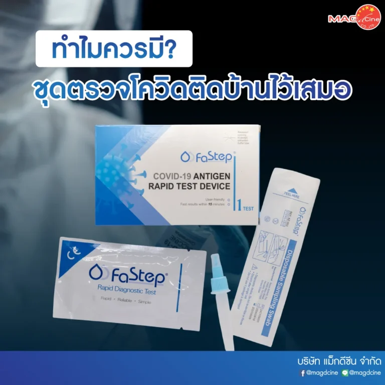 02 1 บทความ