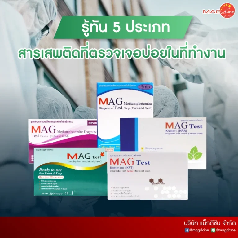 04 1 บทความ