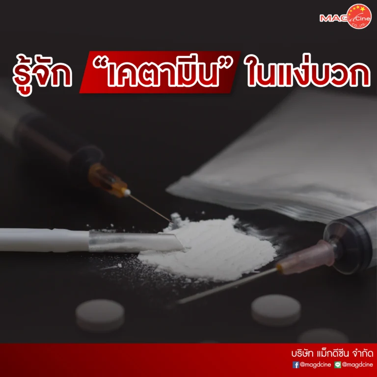 05 05 บทความ