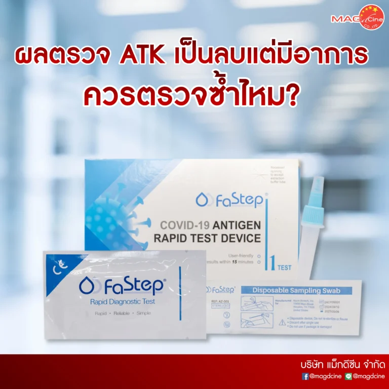 03 บทความ