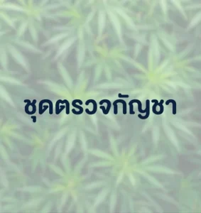 ชุดตรวจกัญชา