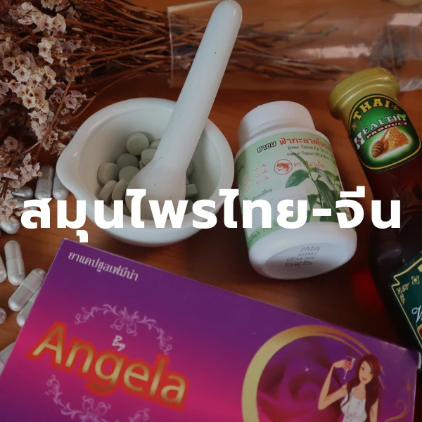 สมุนไพรไทย จีน