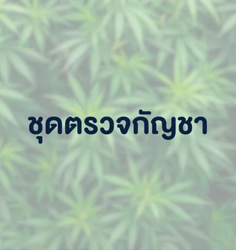 ชุดตรวจกัญชา