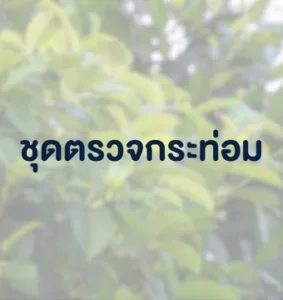 ชุดตรวจกระท่อม