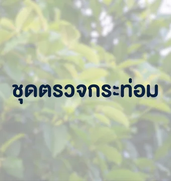 ชุดตรวจกระท่อม