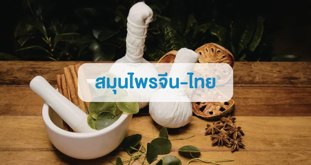 4 1 ชุดตรวจสารเสพติด ที่ตรวจสารเสพติด ชนิดจุ่ม ชนิดหยด เครื่องมือทางการแพทย์