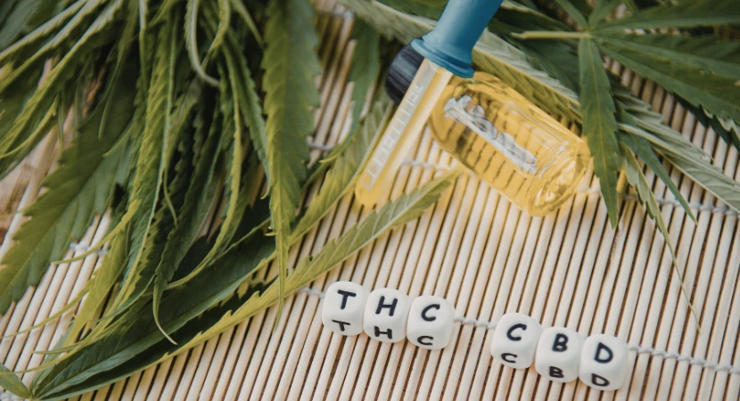 ชุดตรวจกัญชาคืออะไร ใช้งานอย่างไรให้ได้ผลแม่นยำ 1 ชุดตรวจกัญชาคืออะไร