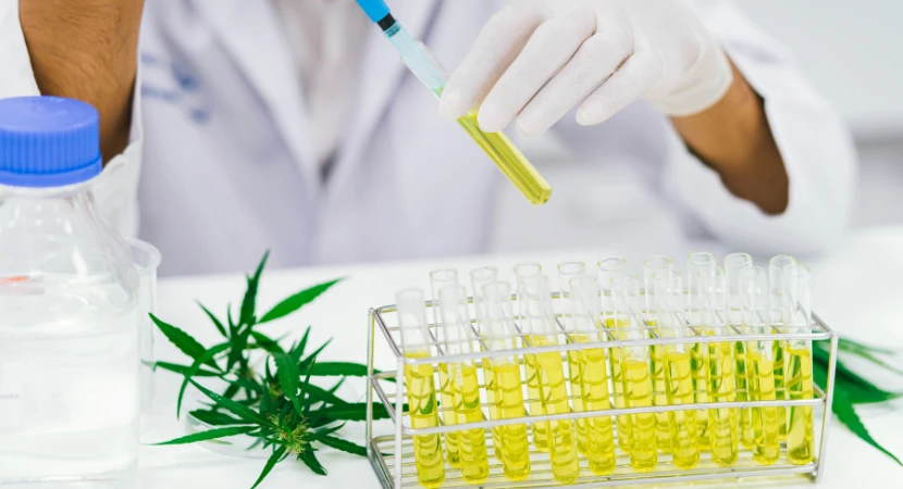 ชุดตรวจกัญชาคืออะไร ใช้งานอย่างไรให้ได้ผลแม่นยำ 2 ชุดตรวจกัญชาคืออะไร