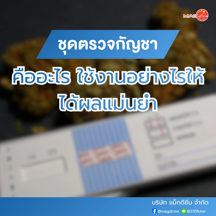 ชุดตรวจกัญชา