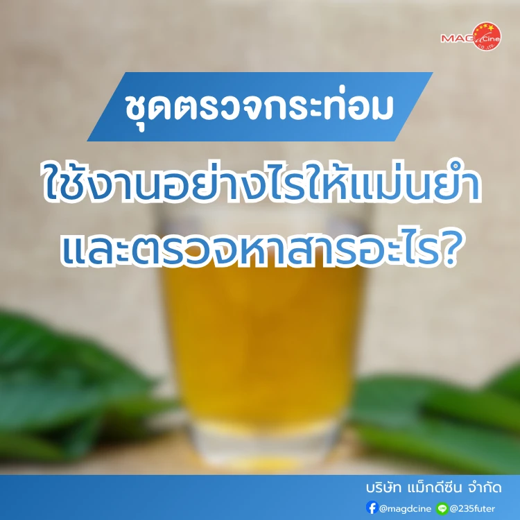 ชุดตรวจสารเสพติด ที่ตรวจสารเสพติด ชนิดจุ่ม ชนิดหยด เครื่องมือทางการแพทย์ 87 ชุดตรวจกระท่อมคืออะไร