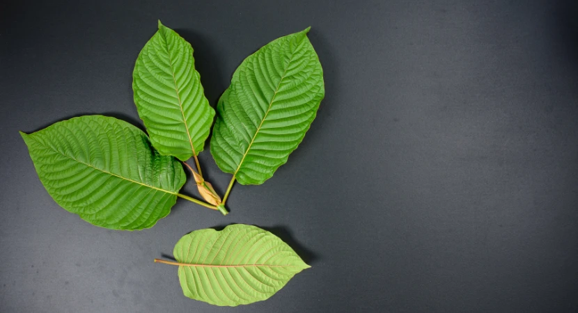 ชุดตรวจกระท่อม ตรวจอะไรได้บ้าง