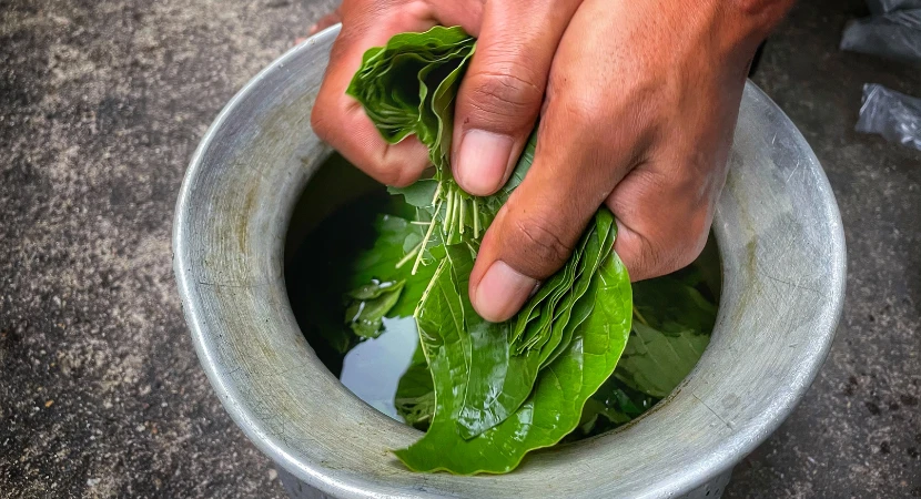 วิธีใช้ชุดตรวจกระท่อมเบื้องต้น และการอ่านผลอย่างไรไม่ให้สับสน 1 วิธีใช้ชุดตรวจกระท่อมเบื้องต้น และการอ่านผลอย่างไรไม่ให้สับสน