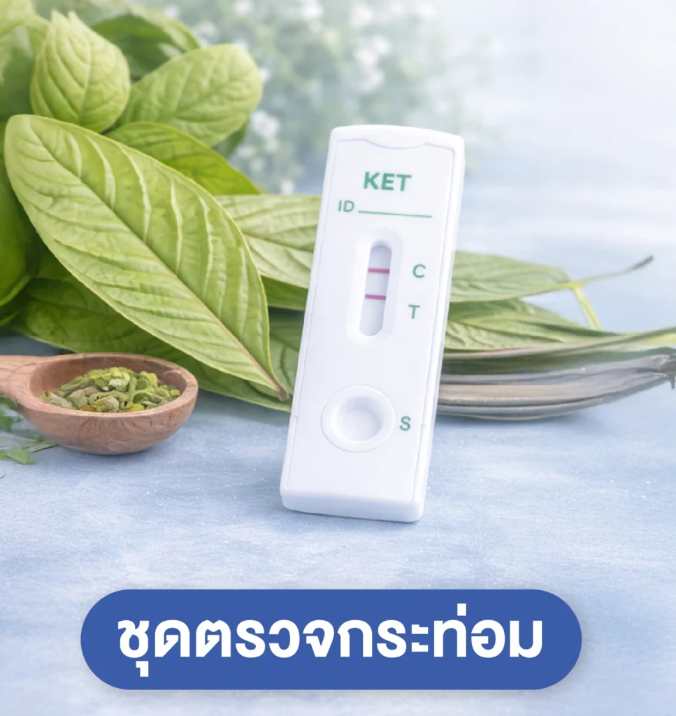 ชุดตรวจกระท่อม