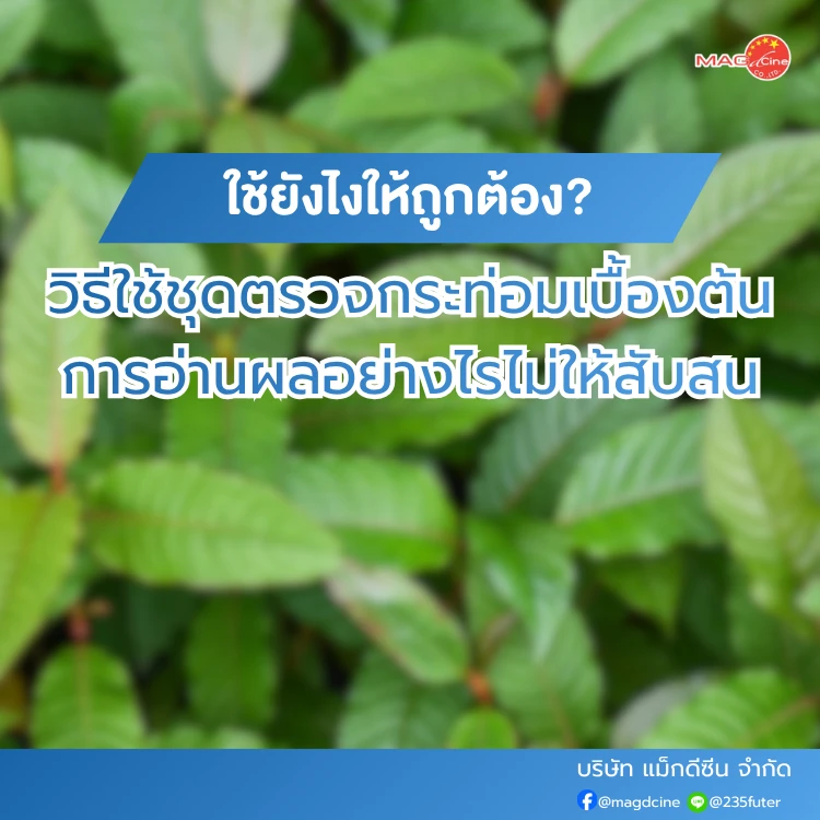 ชุดตรวจสารเสพติด ที่ตรวจสารเสพติด ชนิดจุ่ม ชนิดหยด เครื่องมือทางการแพทย์ 87 วิธีใช้ชุดตรวจกระท่อมเบื้องต้น และการอ่านผลอย่างไรไม่ให้สับสน