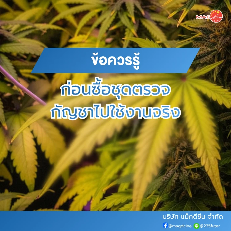 ข้อควรรู้ก่อนซื้อชุดตรวจยาบ้า