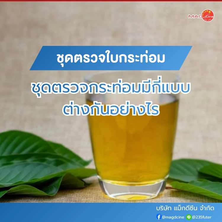 ชุดตรวจกระท่อม