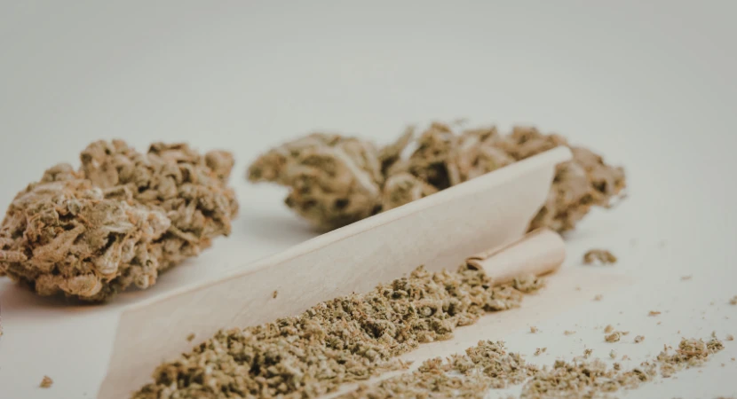 ชุดตรวจกัญชากับการคัดกรองสารเสพติดต่างกันอย่างไร