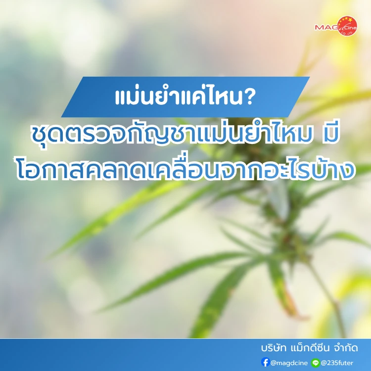 ชุดตรวจกัญชาแม่นยำไหม