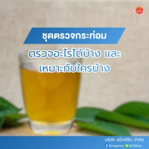 อุปกรณ์ทางการเเพทย์ 101 ชุดตรวจกระท่อม ตรวจอะไรได้บ้าง
