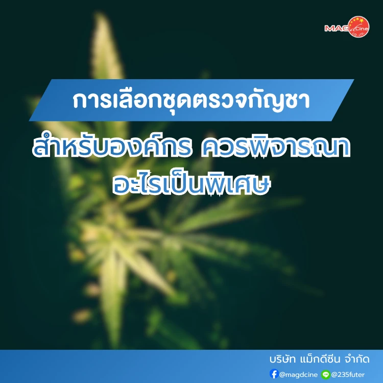 การเลือกชุดตรวจกัญชาสำหรับองค์กร