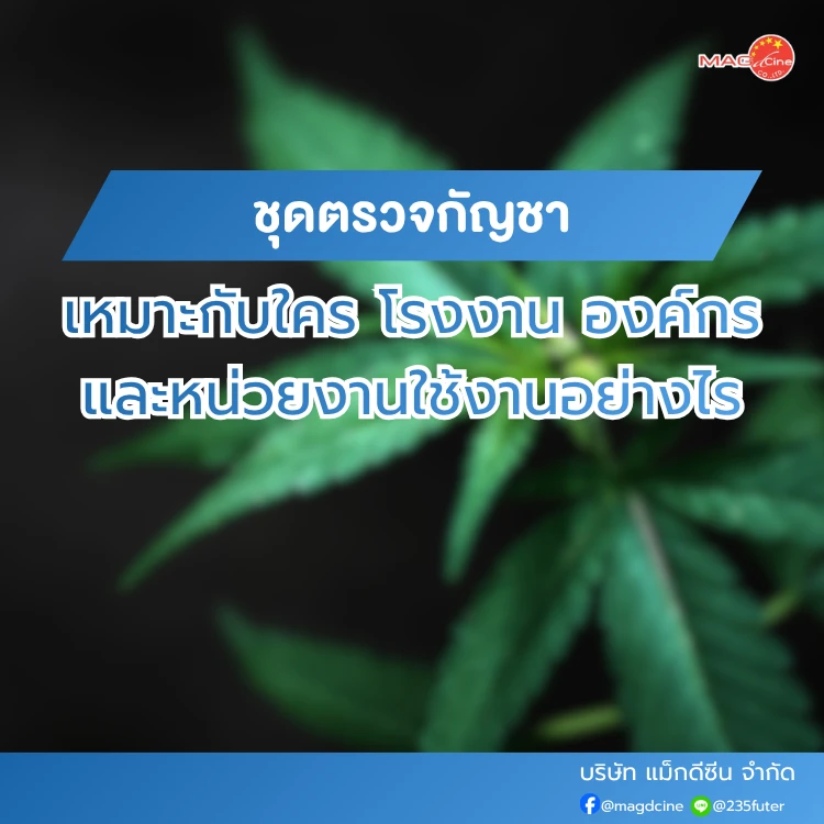ชุดตรวจกัญชาเหมาะกับใคร