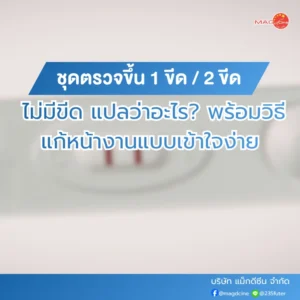 ชุดตรวจมอร์ฟีน 80 ชุดตรวจขึ้น 1 ขีด / 2 ขีด