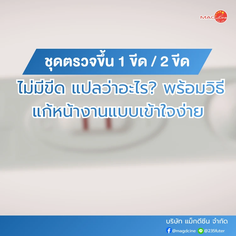 ชุดตรวจขึ้น 1 ขีด / 2 ขีด