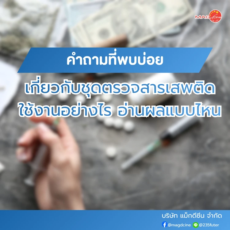2 บทความ