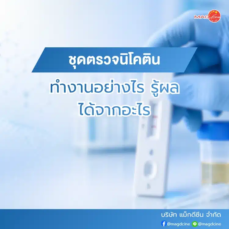 ชุดตรวจนิโคตินทำงานยังไง
