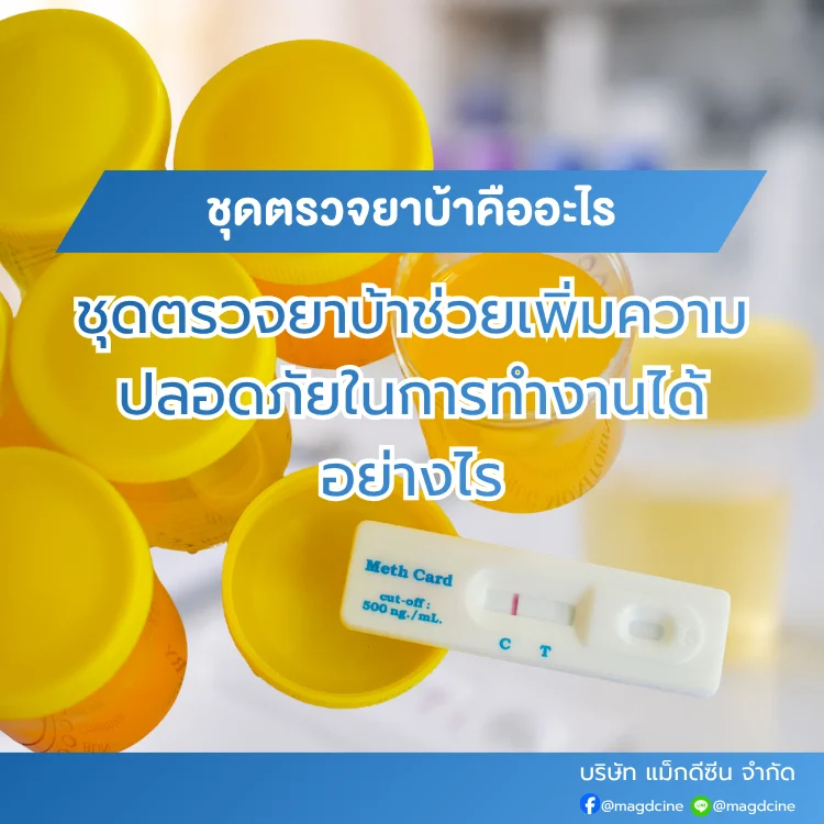 1 บทความ