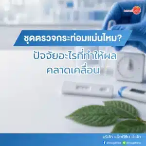 ชุดตรวจมอร์ฟีน MOR ตรวจมอร์ฟีนในปัสสาวะ 80 ชุดตรวจกระท่อมแม่นไหม