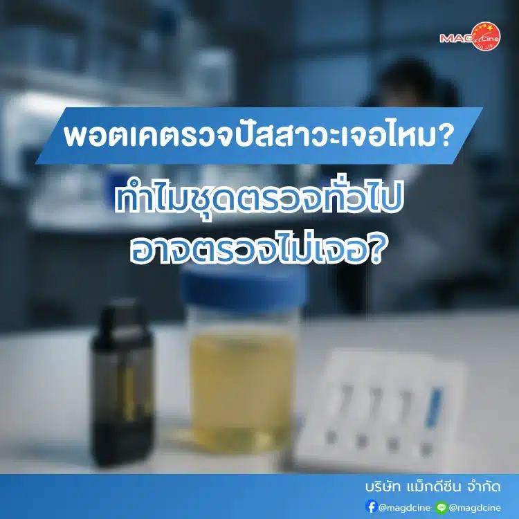 พอตเค