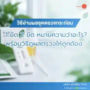 ชุดตรวจมอร์ฟีน MOR ตรวจมอร์ฟีนในปัสสาวะ 79 วิธีอ่านผลชุดตรวจกระท่อม