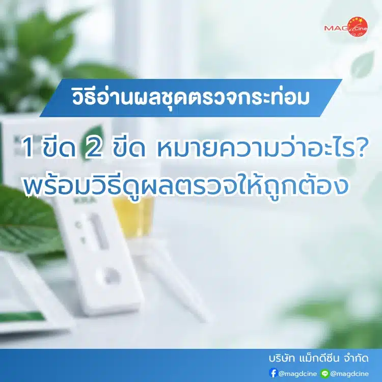 วิธีอ่านผลชุดตรวจกระท่อม