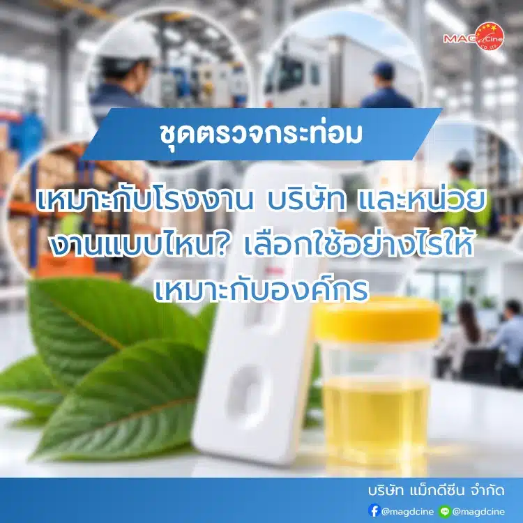 ชุดตรวจกระท่อมเหมาะกับโรงงา
