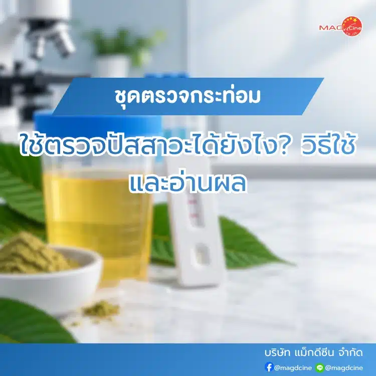 ชุดตรวจกระท่อมใช้ตรวจปัสสาวะได้ยังไง